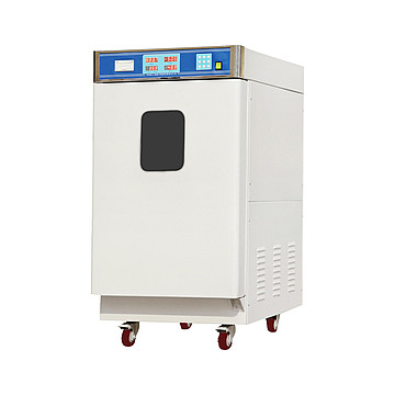 環(huán)氧乙烷滅菌柜 SQ-H220